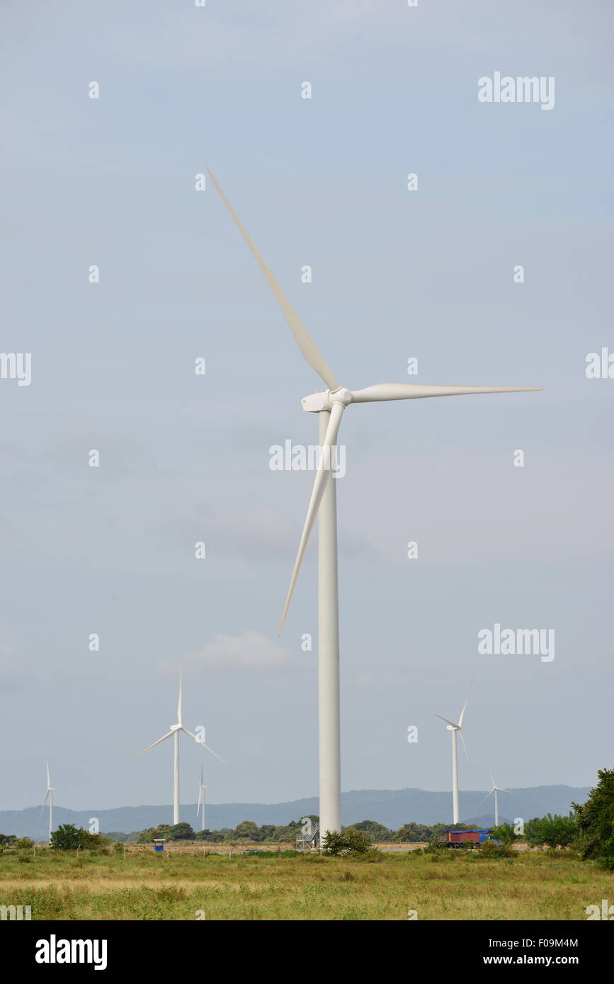 Le turbine eoliche in una fattoria con un bellissimo cielo blu Foto Stock