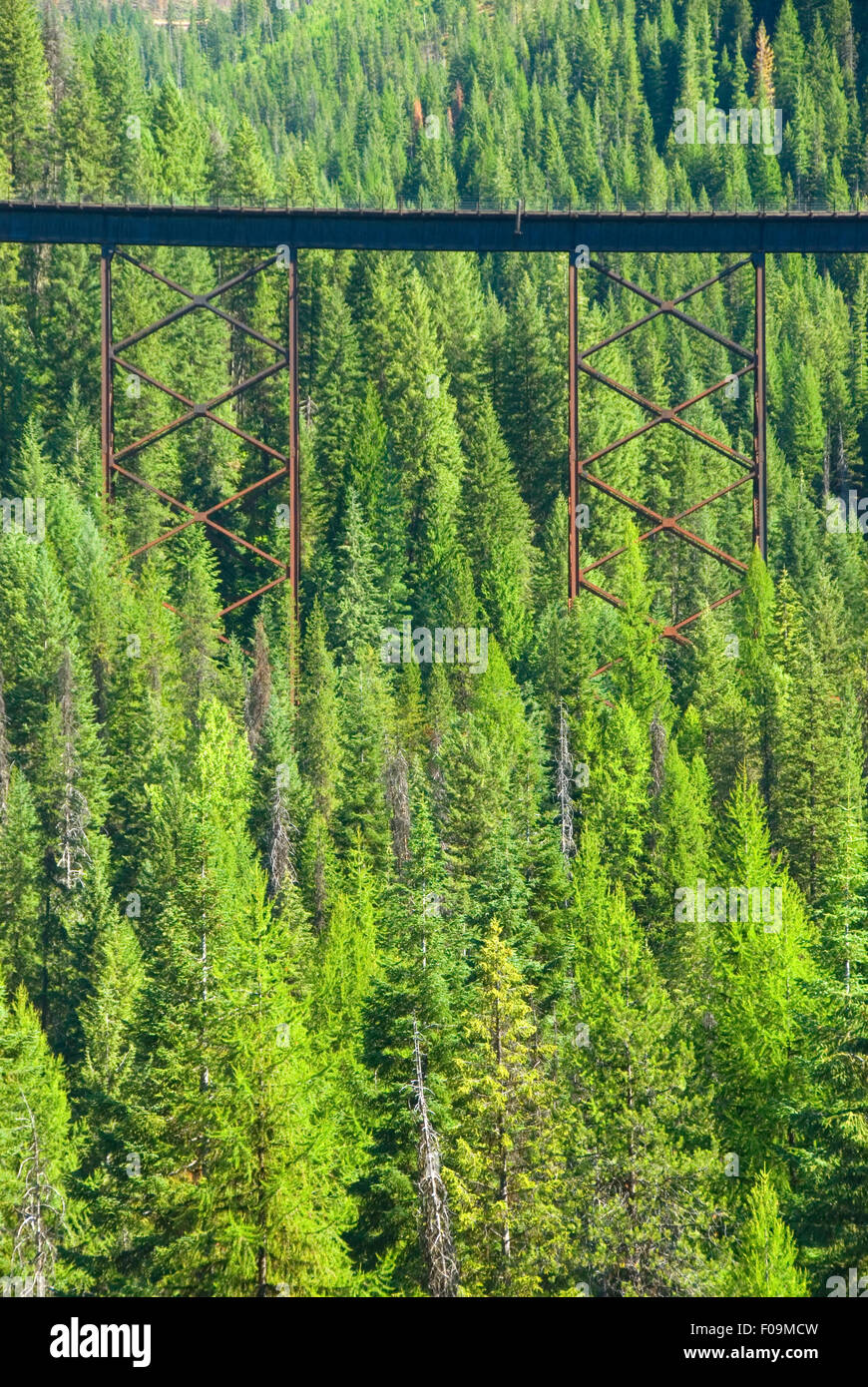 Kelly Creek traliccio, Hiawatha Rail Trail, St Joe National Forest, Idaho Foto Stock