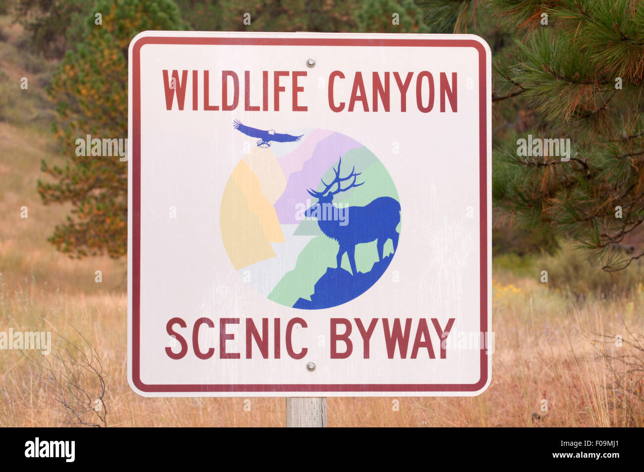 Byway segno, Wildlife Canyon Scenic Byway Boise National Forest, Idaho Foto Stock