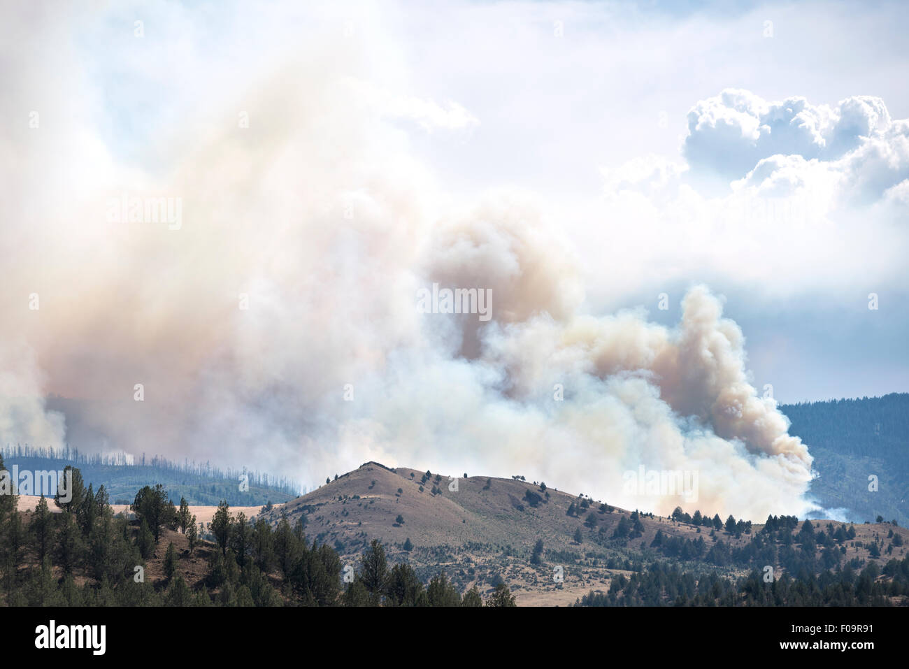 Corner Creek fuoco vicino Dayville, Oregon. Foto Stock