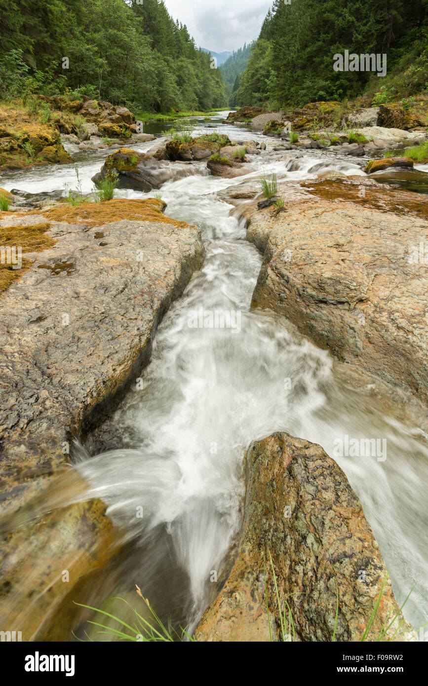 North Fork del Medio forcella della Willamette fiume che scorre attraverso gli stretti scivoli nella roccia, Oregon. Foto Stock