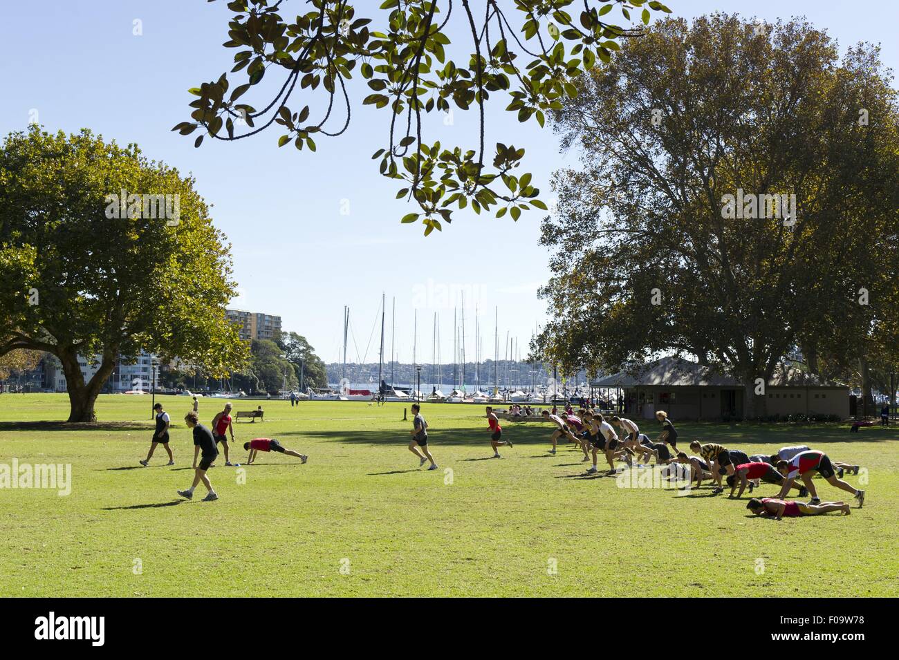 Persone che fanno la formazione di rugby vicino Rushcutters Bay a Sydney, Nuovo Galles del Sud, Australia Foto Stock