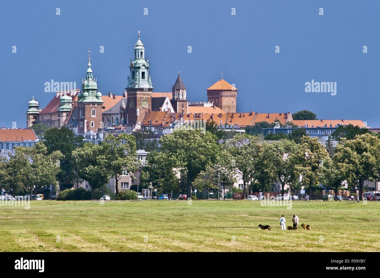 Vista il Castello Reale di Wawel e prato in Cracovia in Polonia Foto Stock