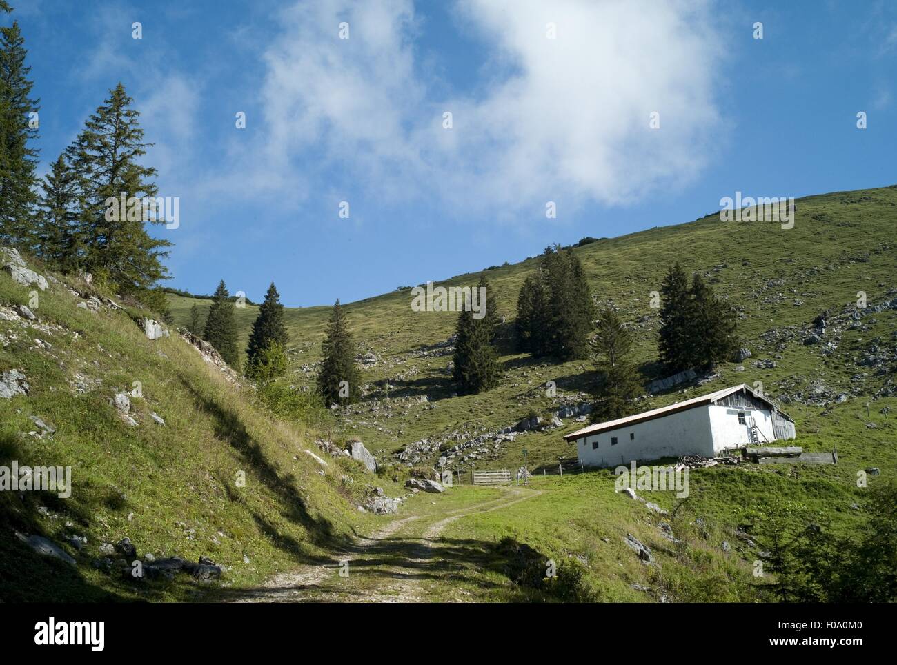 Chiemgau montagna delle Alpi in Baviera, Germania Foto Stock