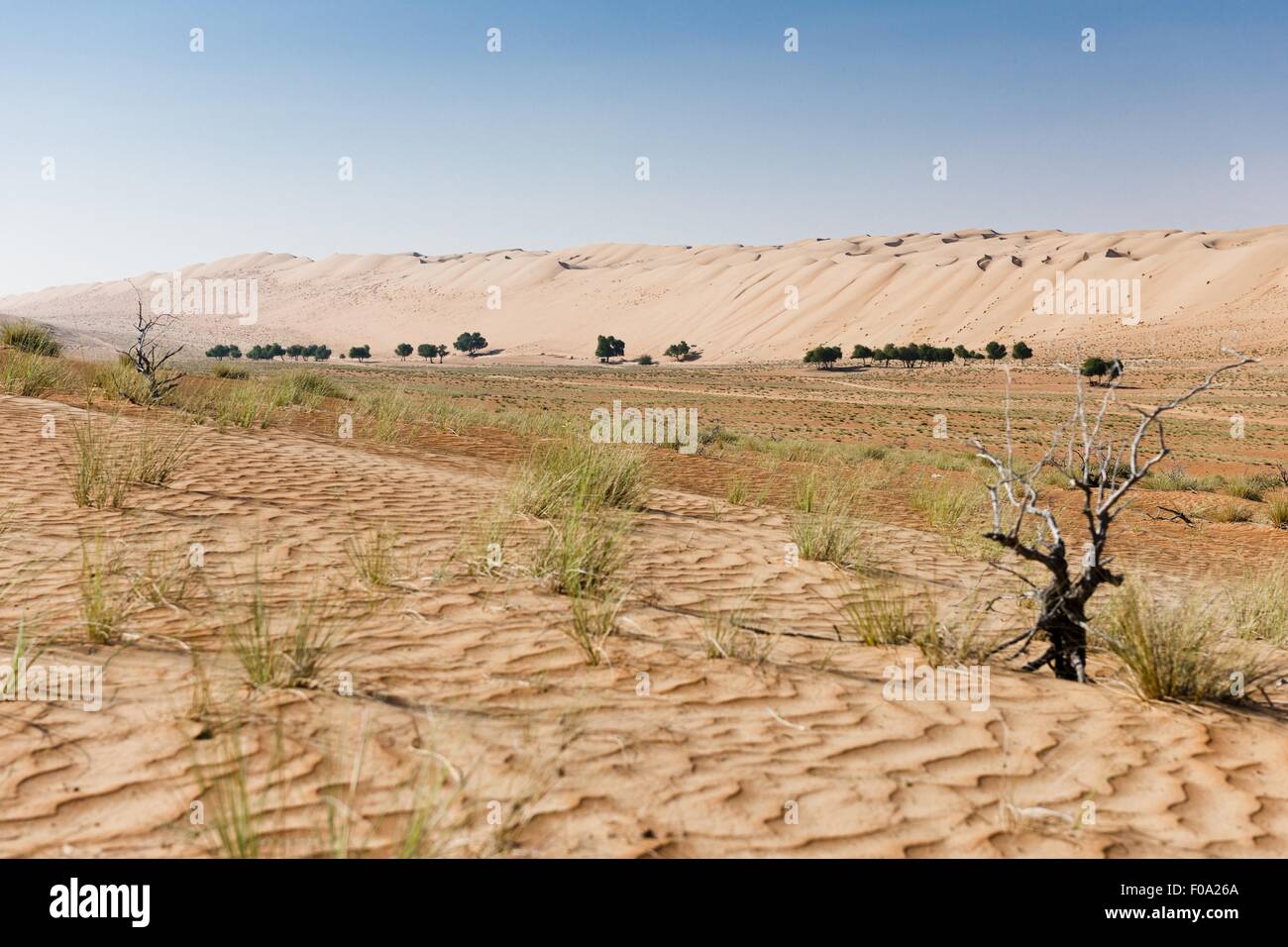 Vista di Wahiba Sands desert, Oman Foto Stock