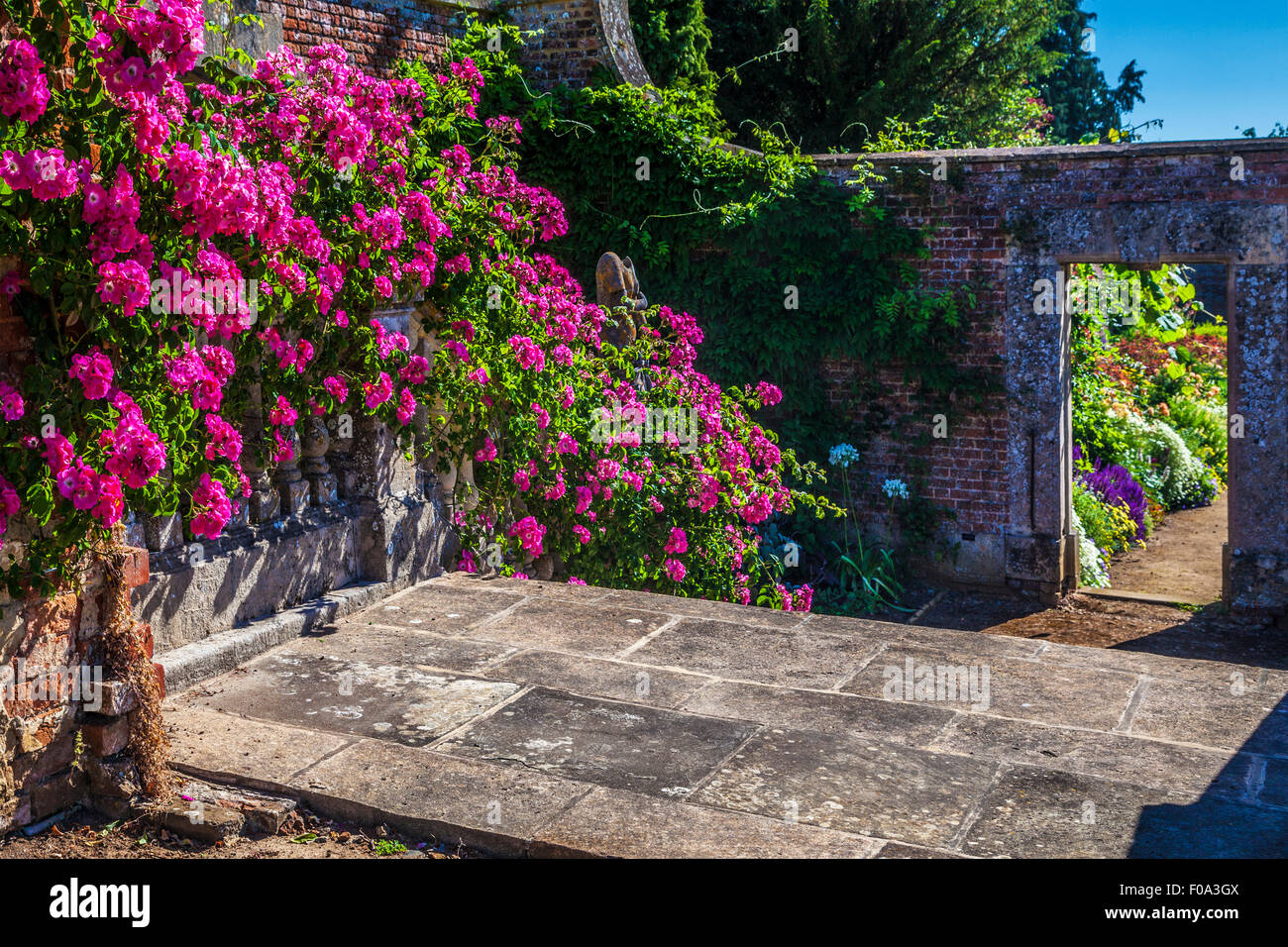 Rose rampicanti in giardini murati a Bowood House nel Wiltshire. Foto Stock