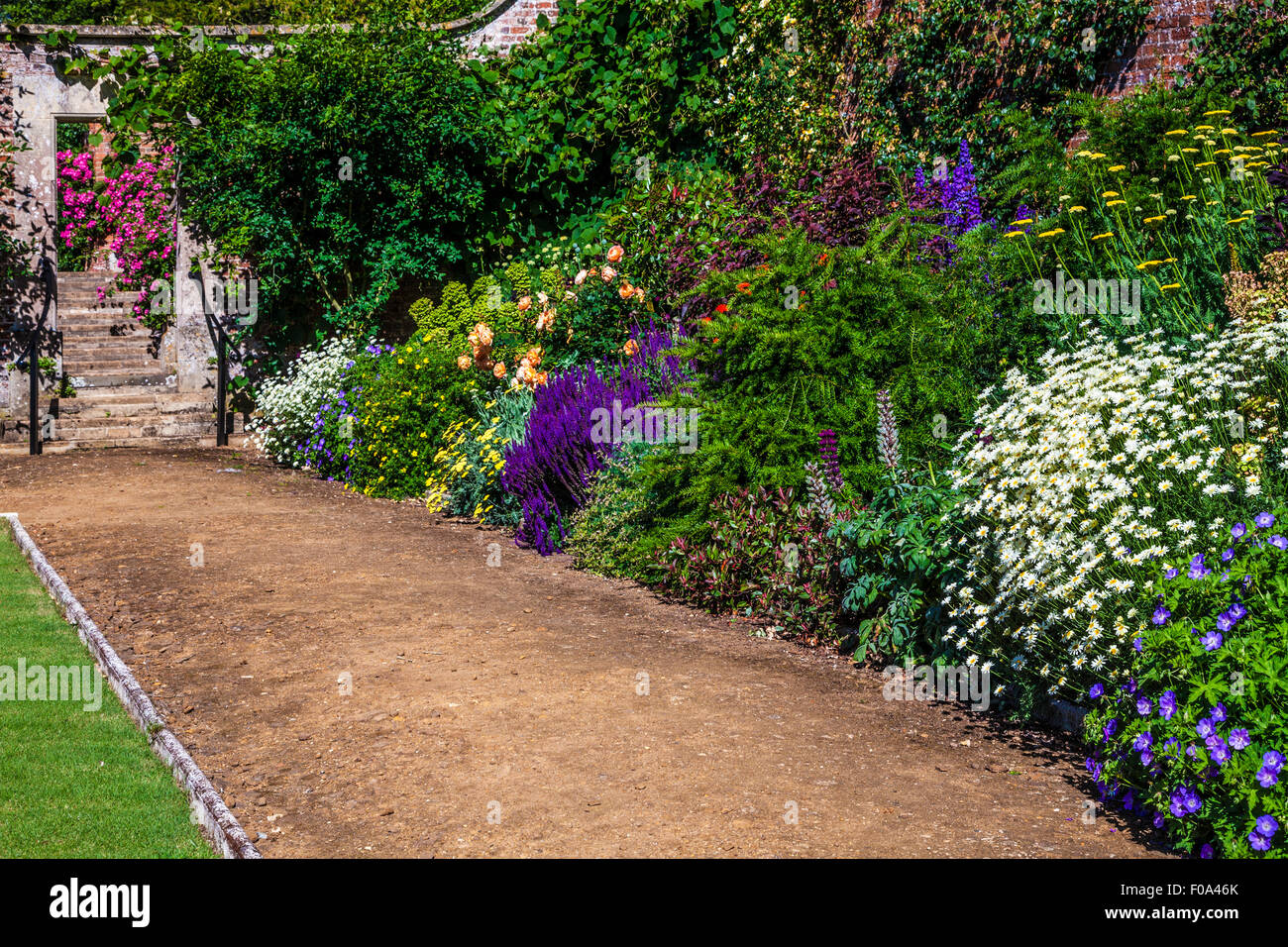 Confine erbacee in il giardino murato di Bowood House nel Wiltshire. Foto Stock