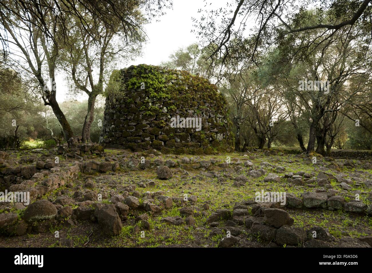 Recinzione in pietra di Santa Cristina il pozzo sacro di Paulilatino, Oristano, Sardegna, Italia Foto Stock