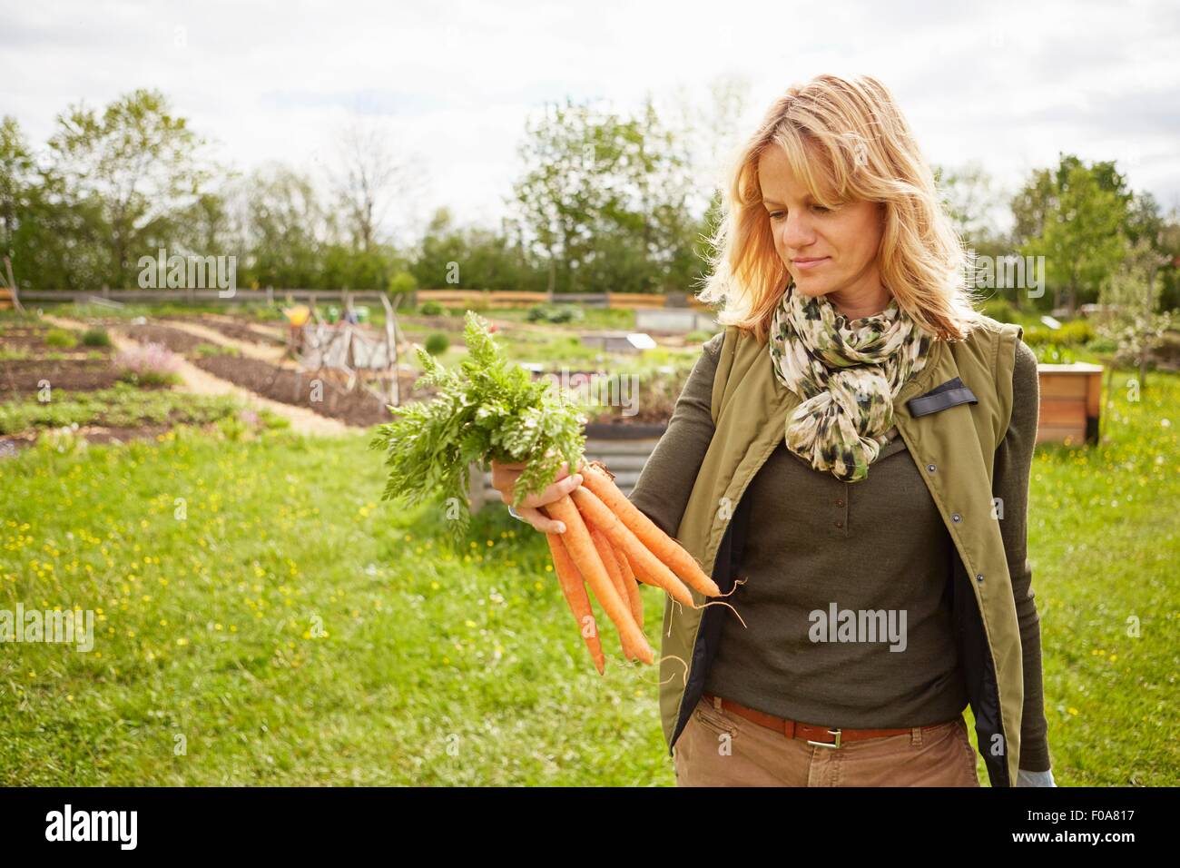 Donna matura all'aperto, giardinaggio, guardando il mazzetto di carote Foto Stock
