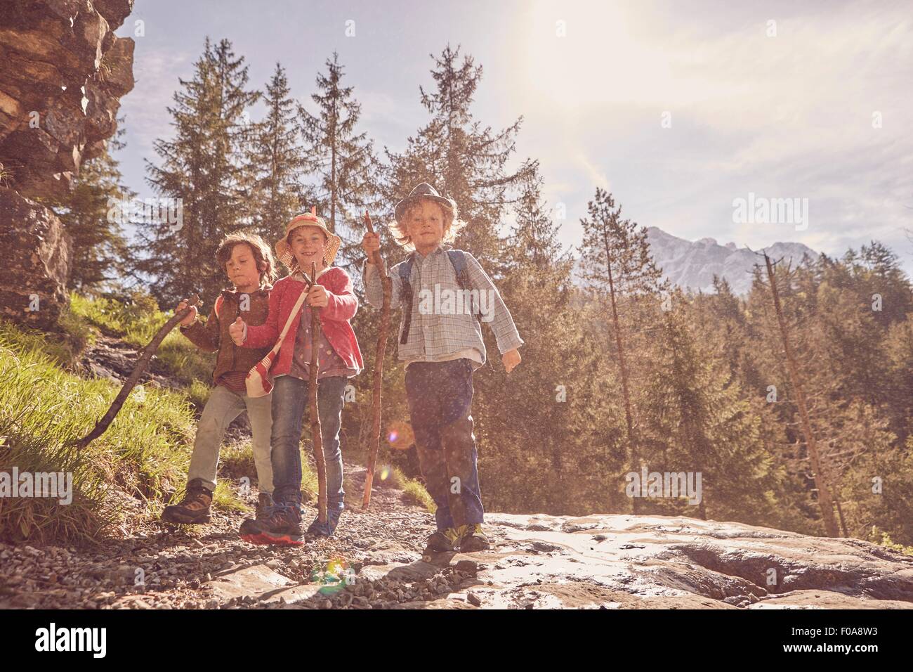 Tre bambini di esplorare la foresta Foto Stock