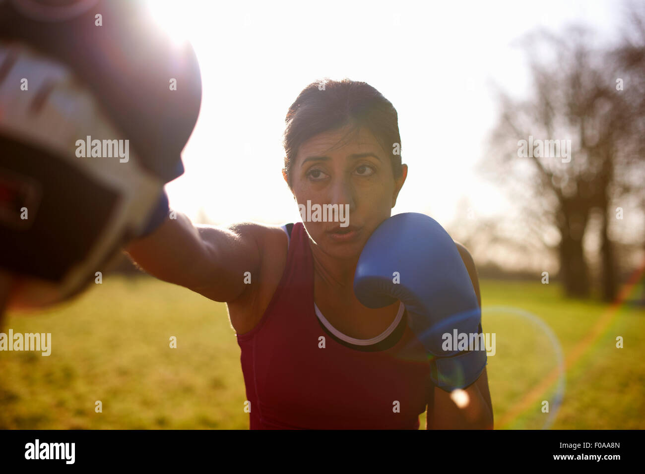 Femmina matura boxer formazione nel campo Foto Stock