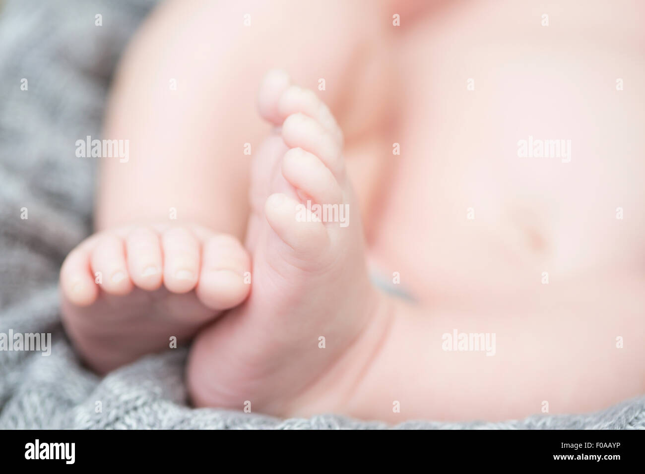 Close up del bambino le dita dei piedi Foto Stock