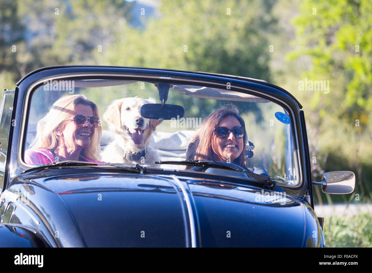 Due donne mature, in autovettura convertibile, con il cane, sorridente Foto Stock