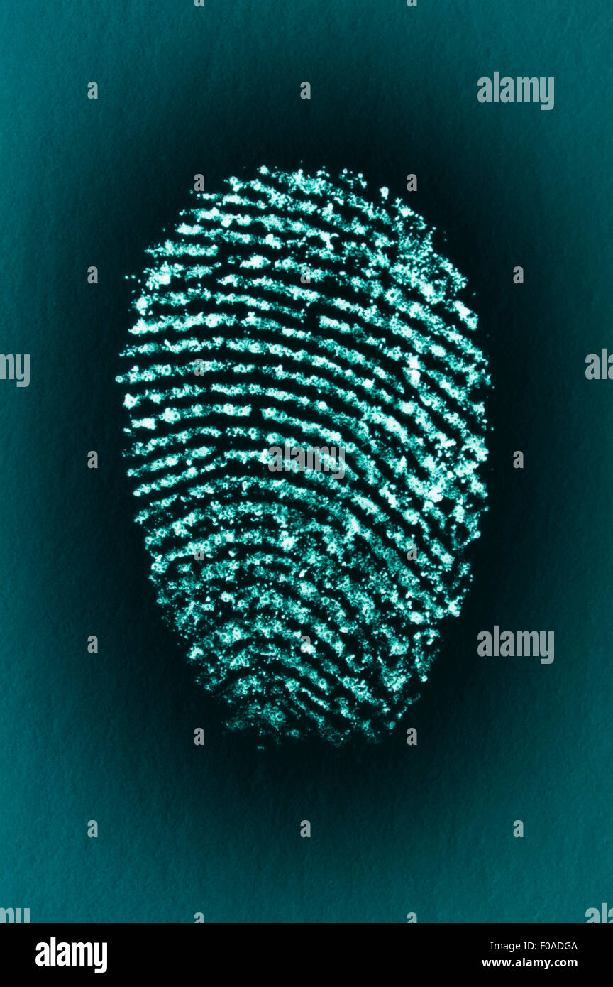 Impronta digitale di un maschio il dito indice Foto Stock