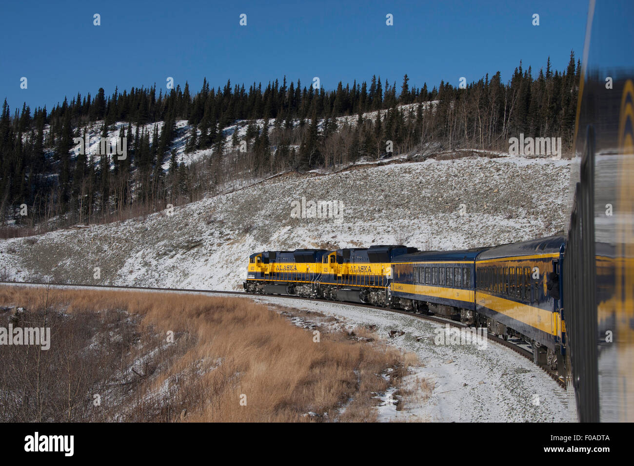 Vista dal treno, Fairbanks Alaska Foto Stock