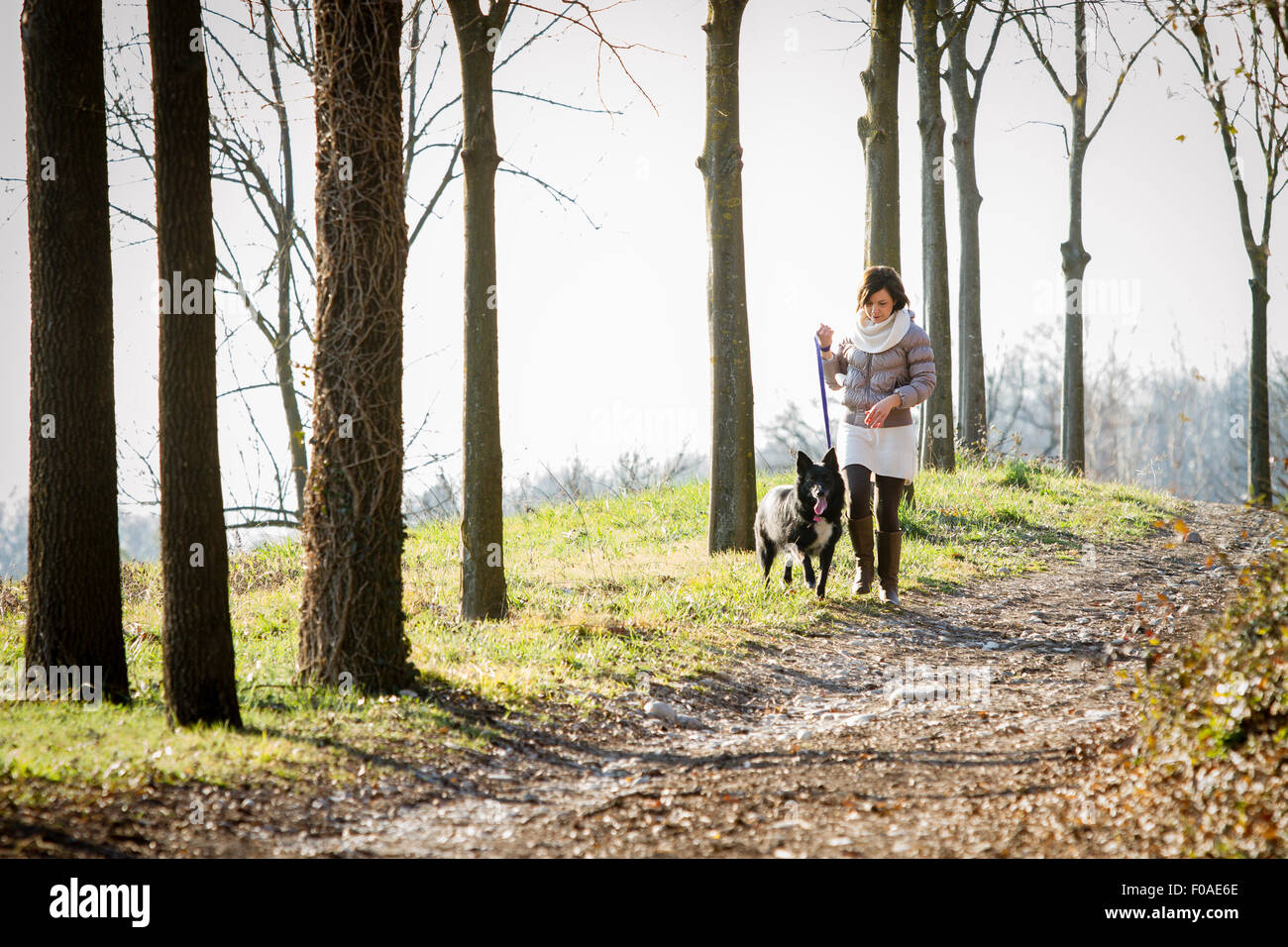 Metà donna adulta a piedi il suo cane sul percorso di sporcizia Foto Stock
