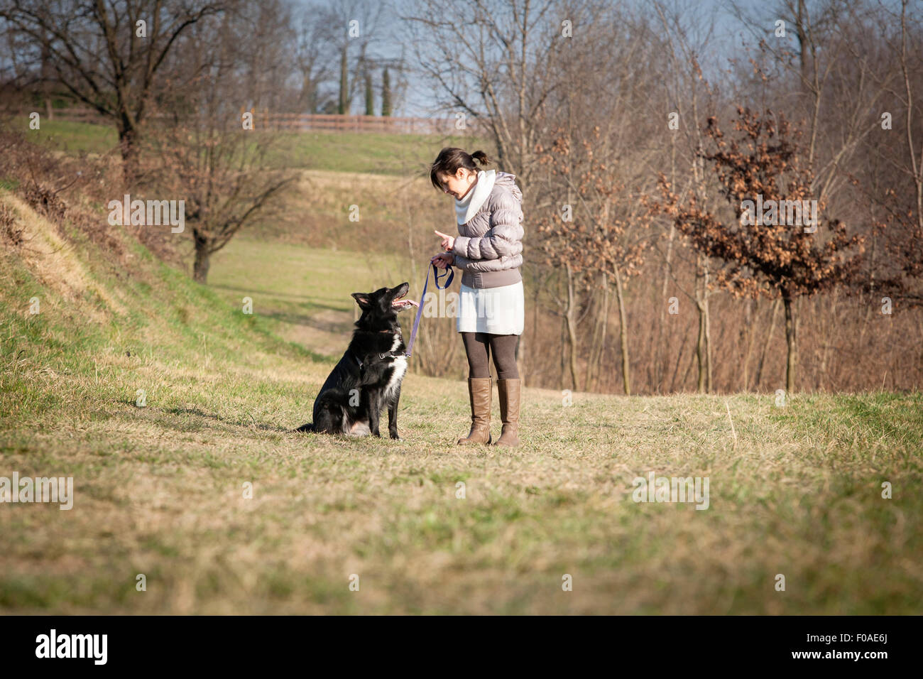 Metà donna adulta a piedi con il suo cane nel campo Foto Stock