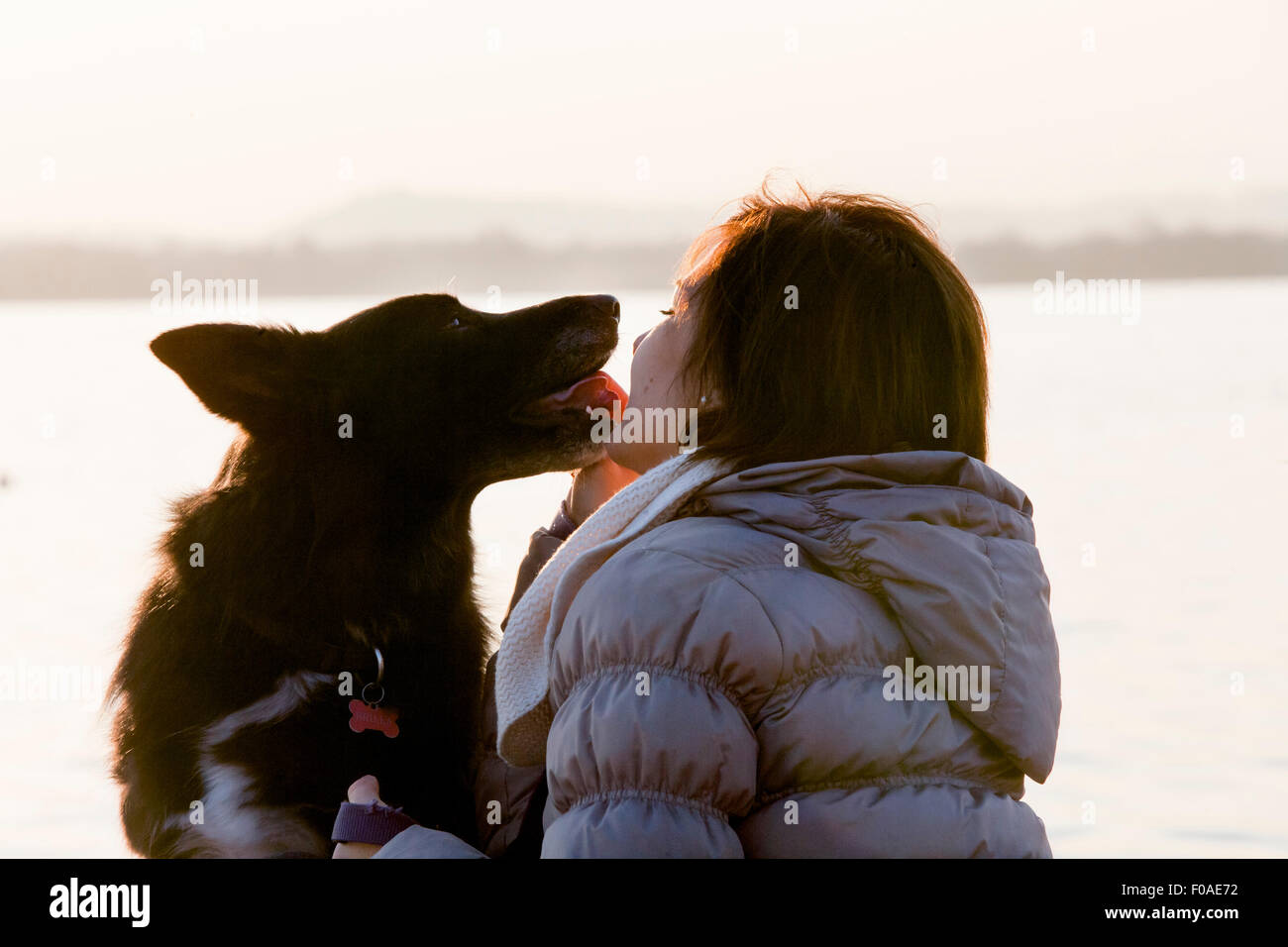 Cane leccare la metà degli adulti faccia womans sul lago Foto Stock