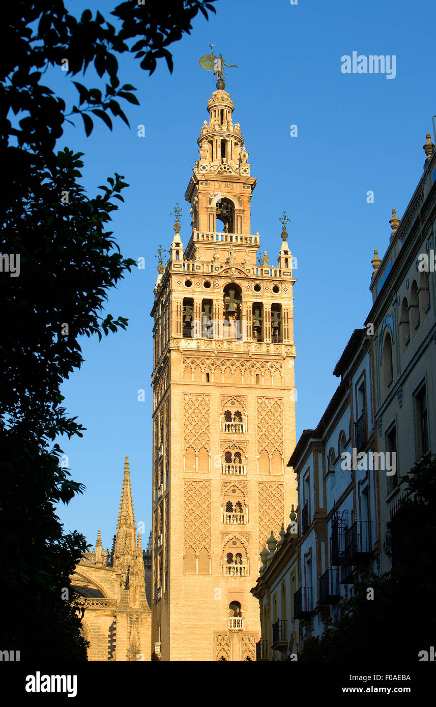 Cattedrale,torre Giralda,Sevilla,Andalucia,Spagna Foto Stock