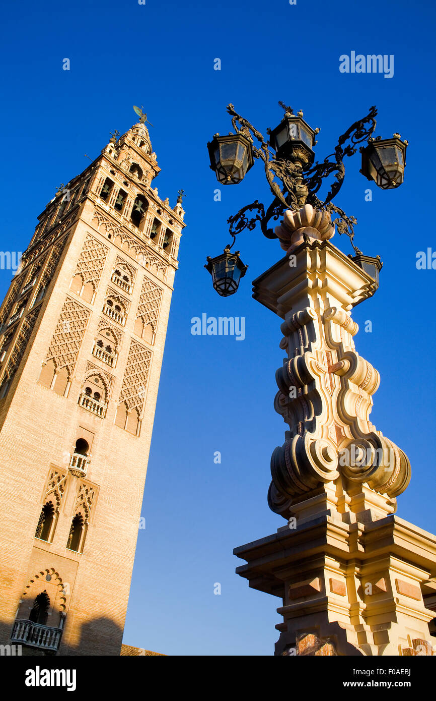 Cattedrale,torre Giralda da Plaza Virgen de los Reyes,Sevilla,Andalucia,Spagna Foto Stock