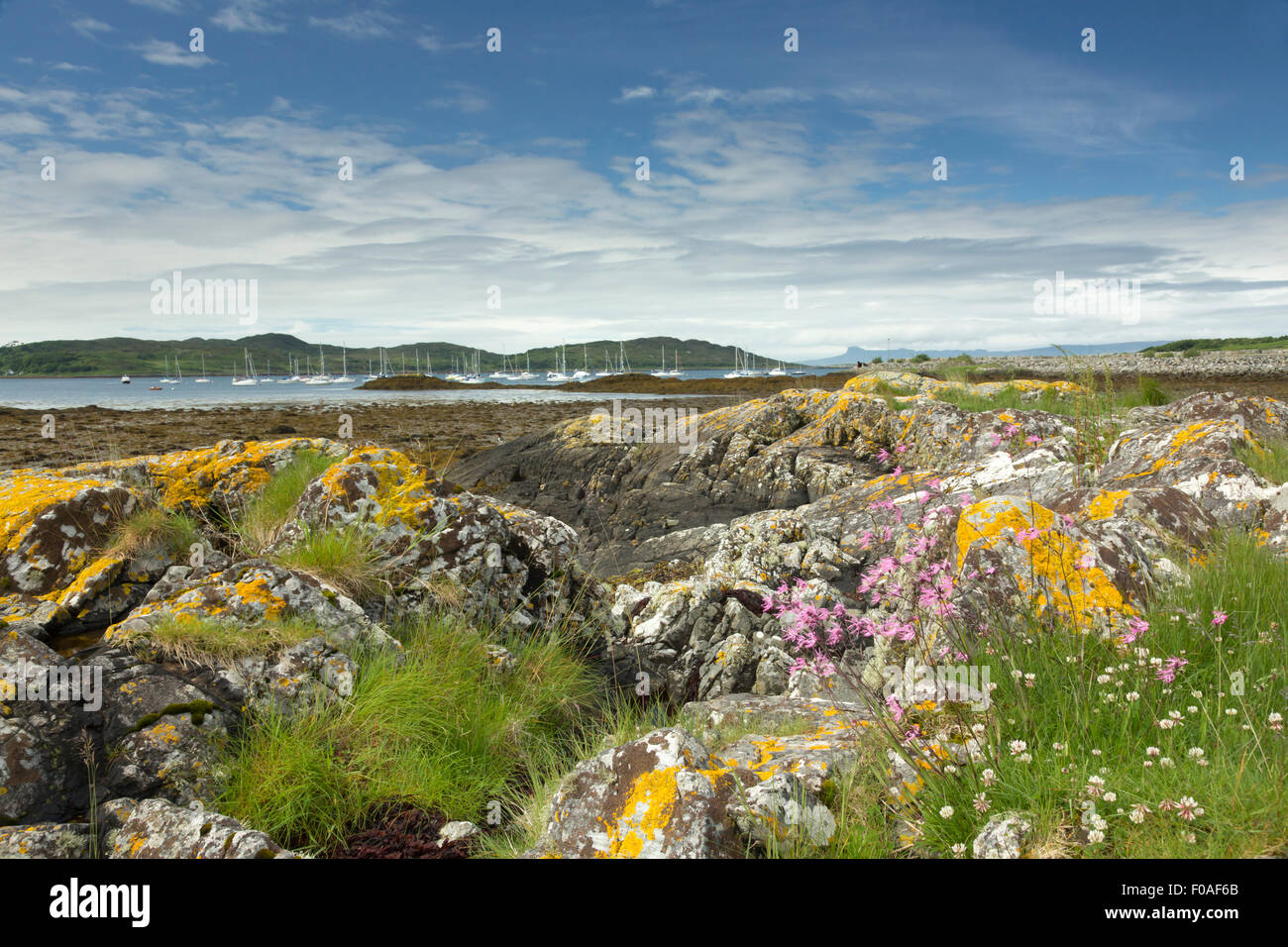 Arisaig porto e la vista in lontananza la isola di Eigg, Scozia, Giugno 2015. Foto Stock