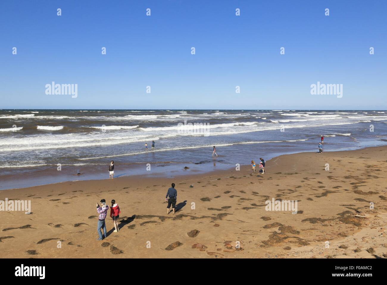 Vista di Brackley-Dalvay, Prince Edward Island National Park, Canada Foto Stock