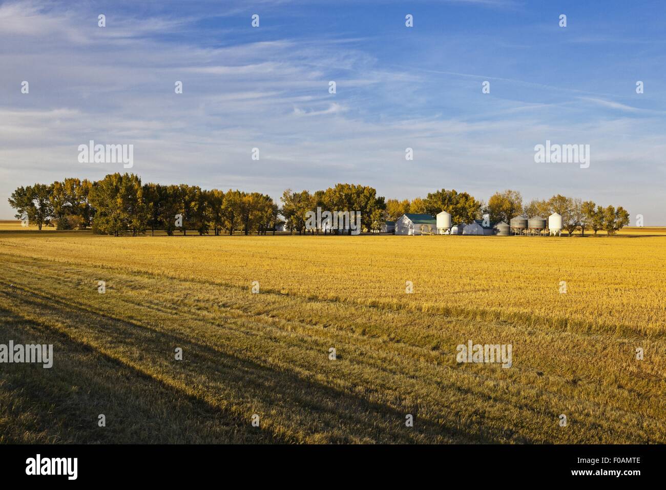 Vista del campo e di deposito di grano sulla Highway 6 South, Saskatchewan, Canada Foto Stock
