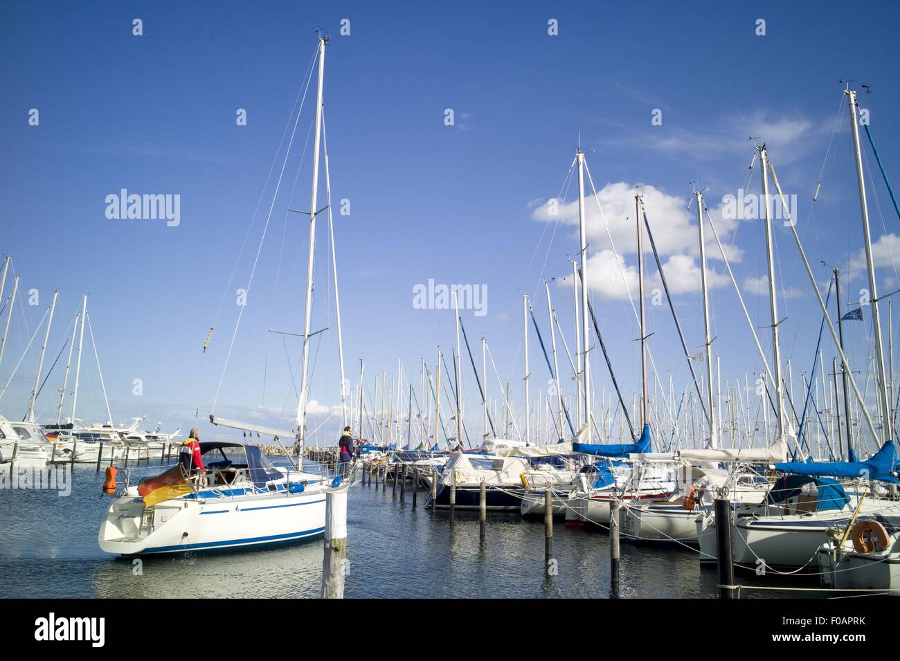 Barche a vela in piedi in fila, Gromitz Harbour, Schleswig Holstein, Germania Foto Stock