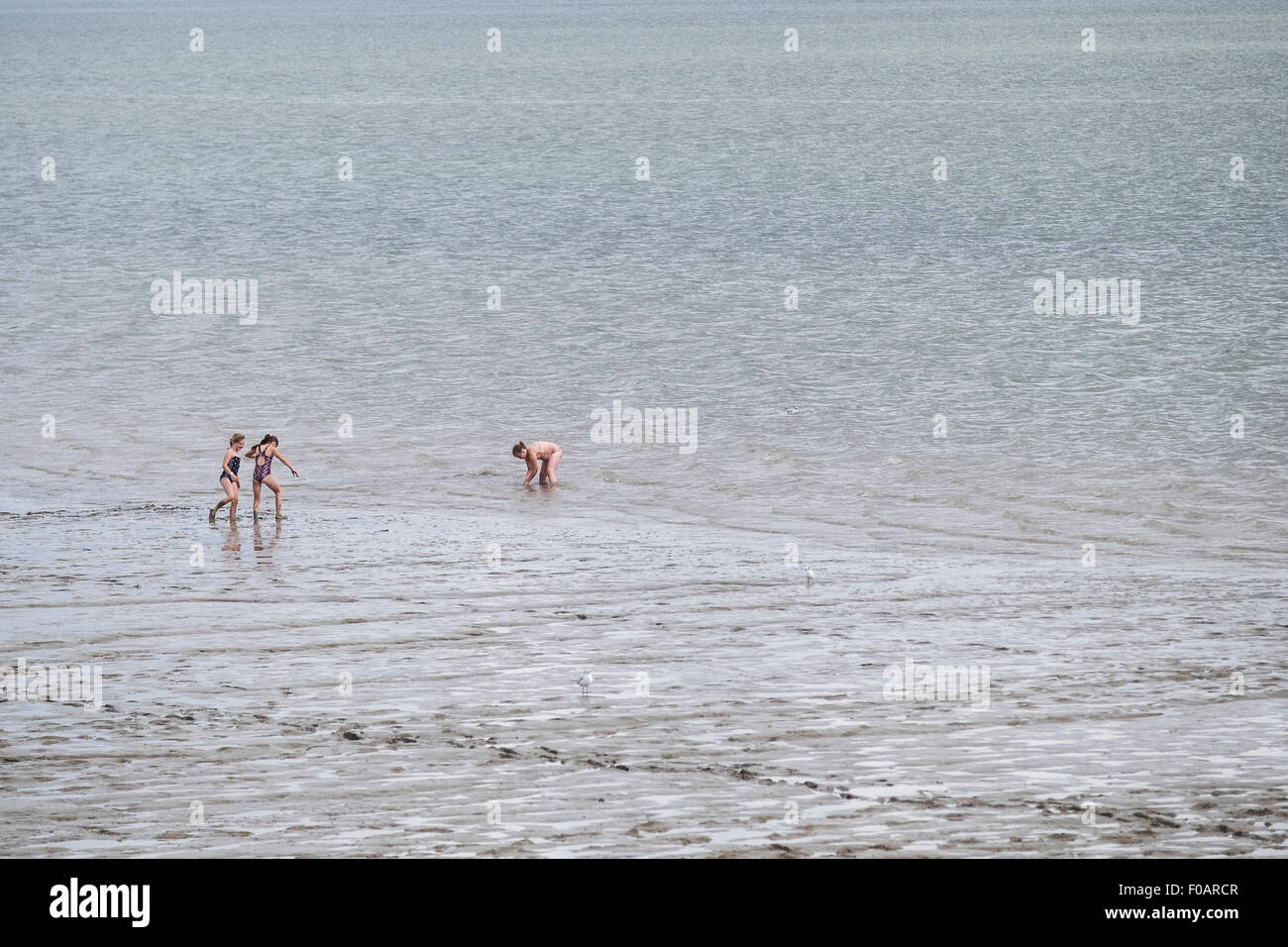 Canvey Island - giovani bambini che giocano nel fango sulla foreshore a Canvey Island, Essex. Foto Stock