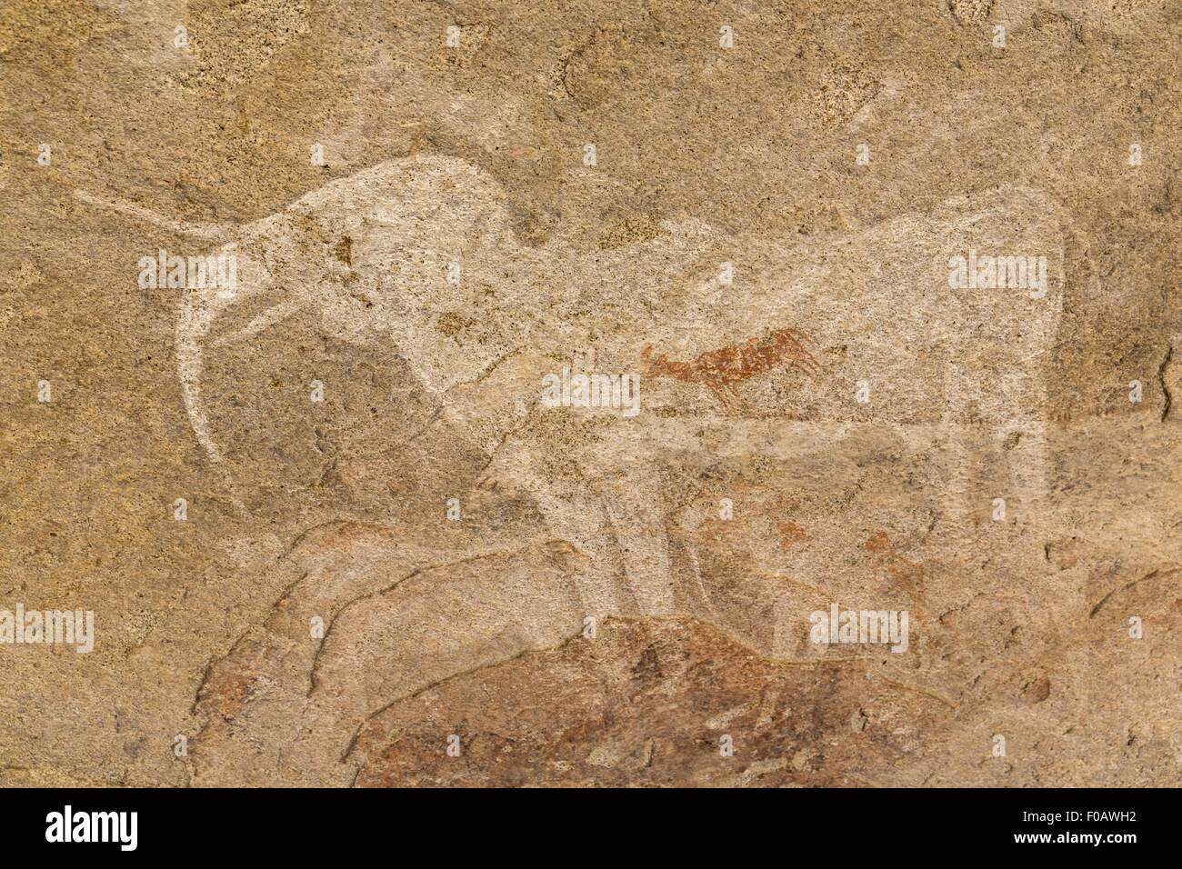 Un castelliere preistorico petroglyph 'elefante bianco', Erongo Mountains, Namibia Foto Stock