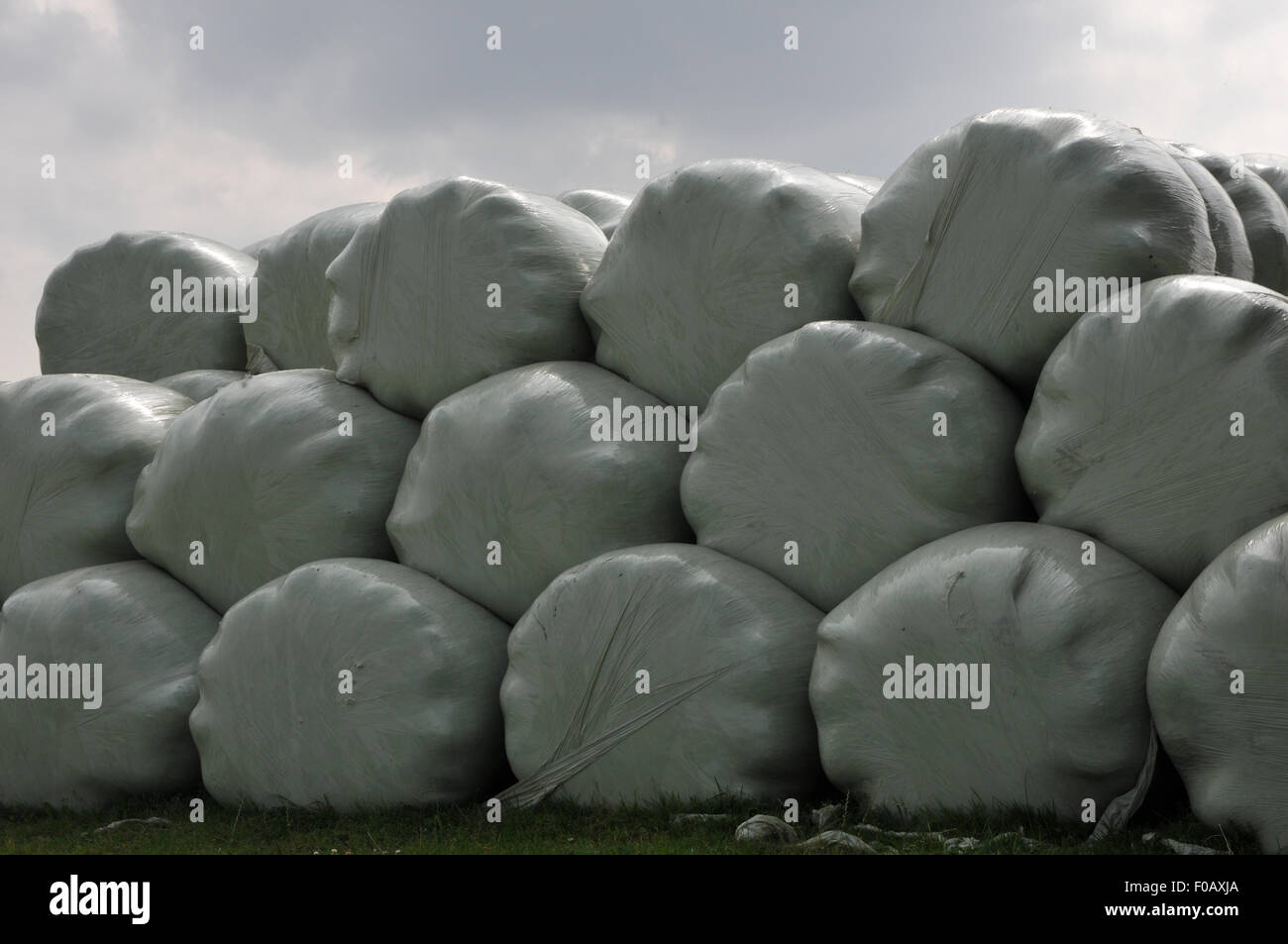 Close up balle di fieno in sacchetti di plastica Foto Stock