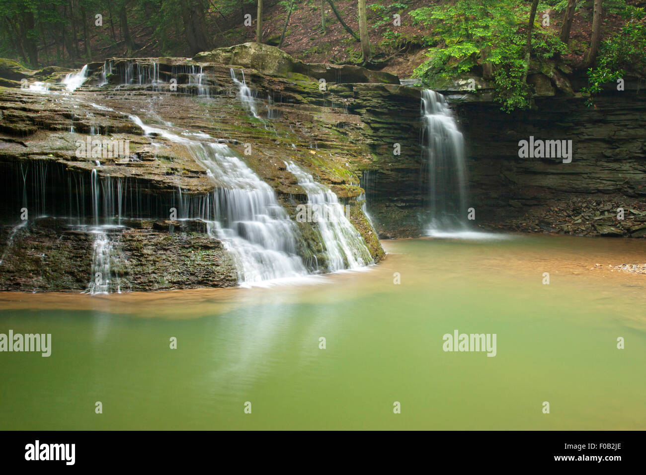 Libertà cascata SHULL correre sopra il fiume ALLEGHENY VENANGO COUNTY PENNSYLVANIA USA Foto Stock