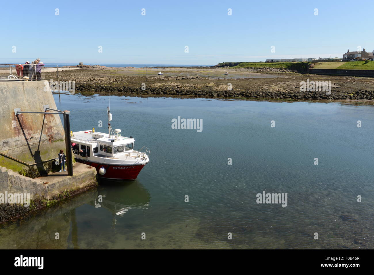 Serenità crociere in barca, SEAHOUSES, Northumberland a farne le isole, SEAHOUSES Harbour Foto Stock