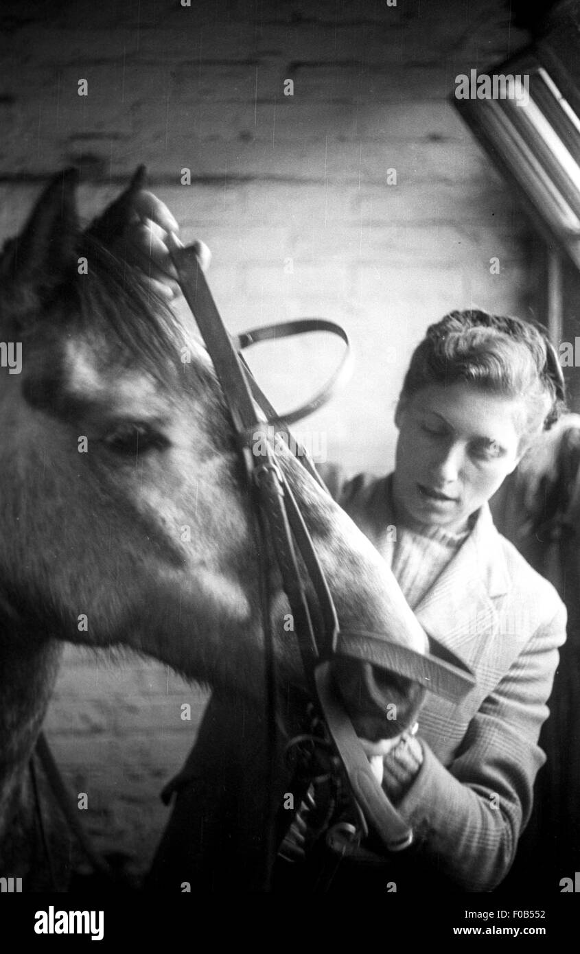Una giovane donna di mettere la briglia sul suo cavallo Foto Stock