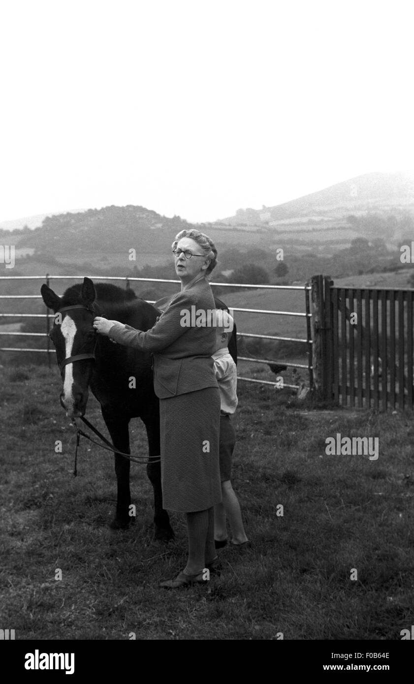 Un ragazzo e una donna matura regolando la briglia di un cavallo in un campo. Foto Stock