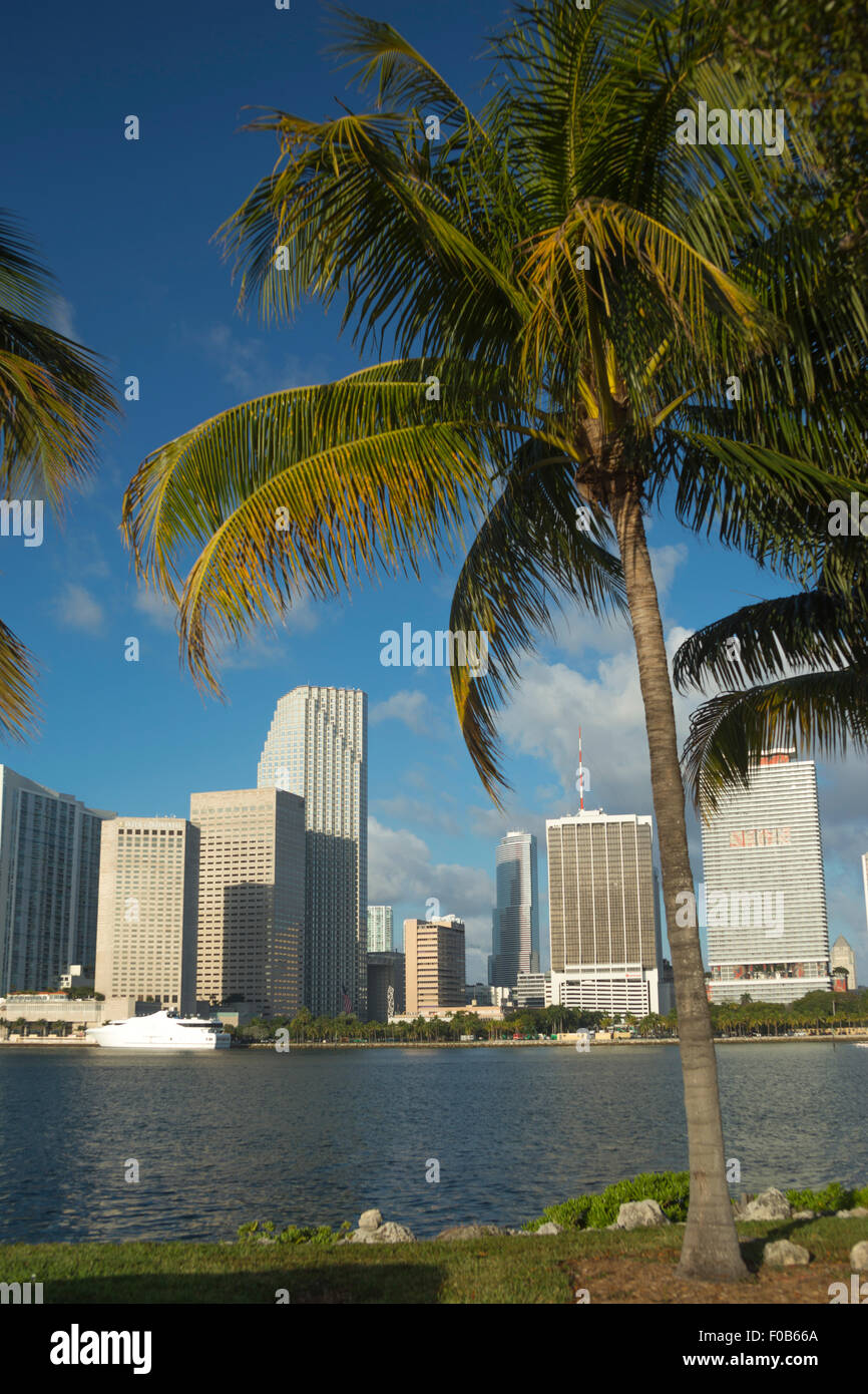 Palme isola Watson skyline del centro di Biscayne Bay Miami Florida USA Foto Stock