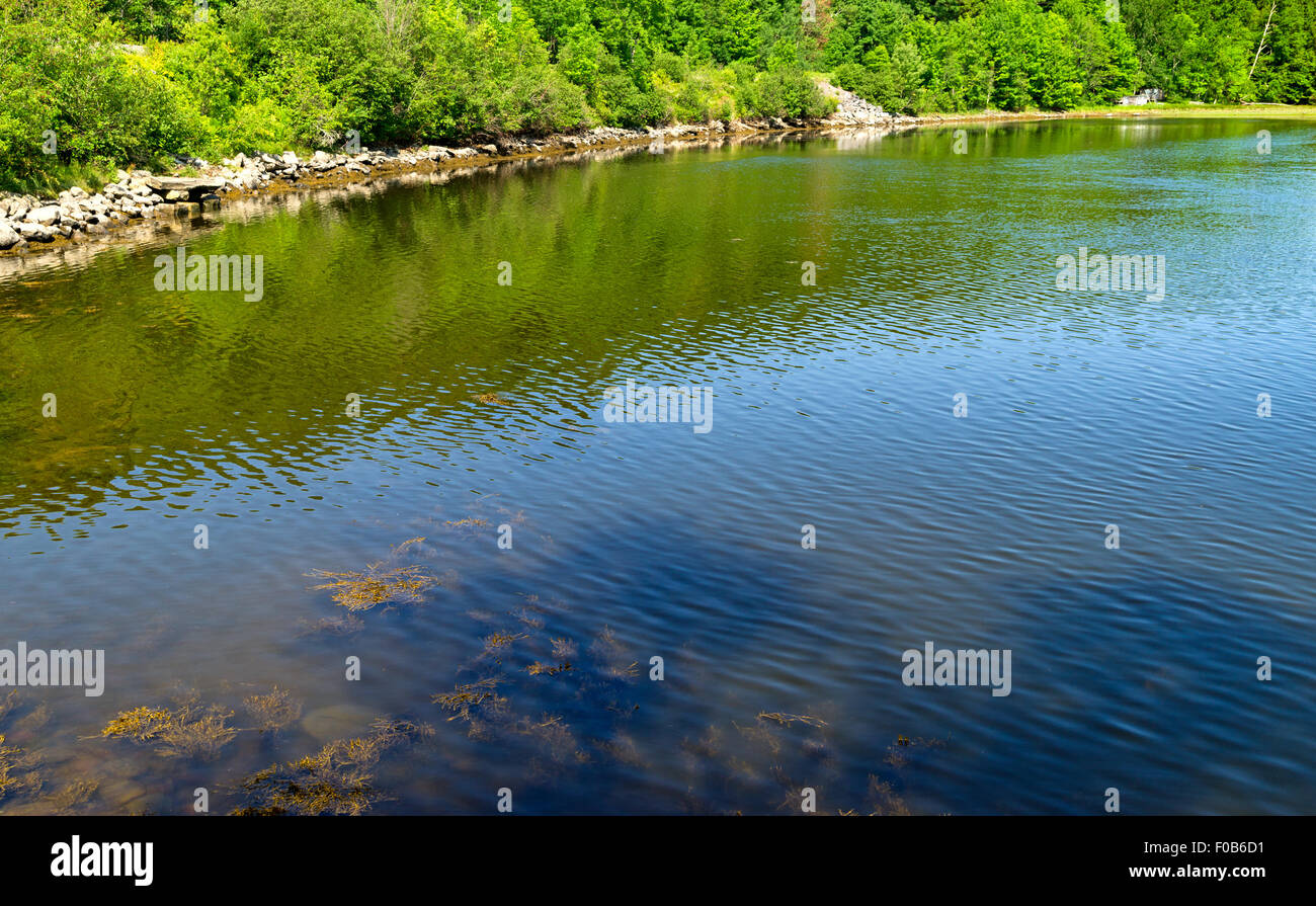 Una porzione del Passagassawakeag estuario del fiume a Belfast, Maine. Foto Stock