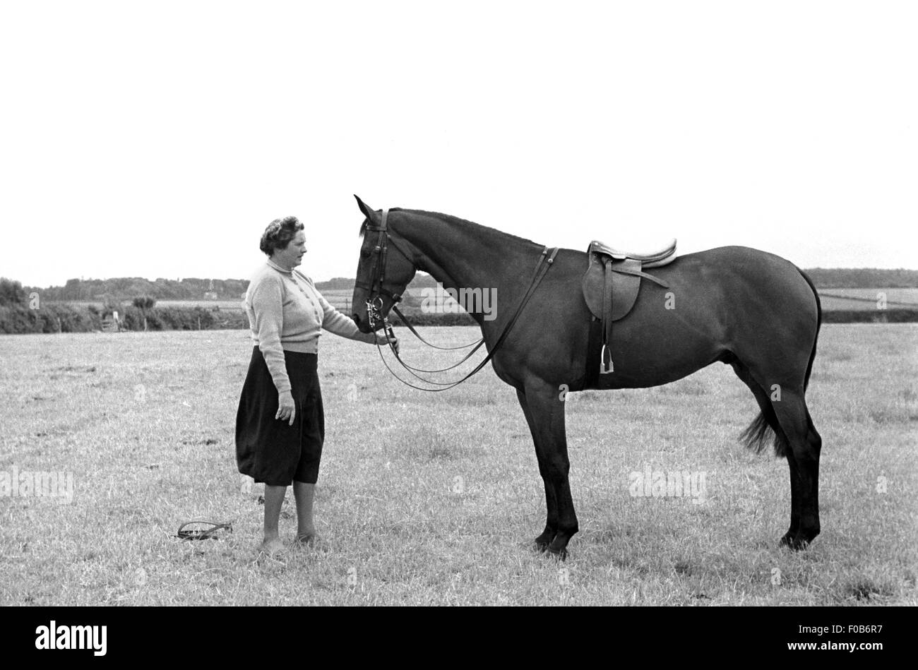 Una donna di mezza età tenendo la briglia del suo cavallo in un campo Foto Stock