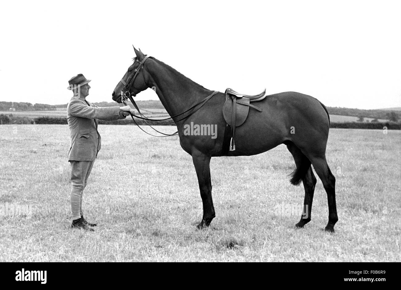 Un uomo di mezza età tenendo la briglia del suo cavallo in un campo Foto Stock