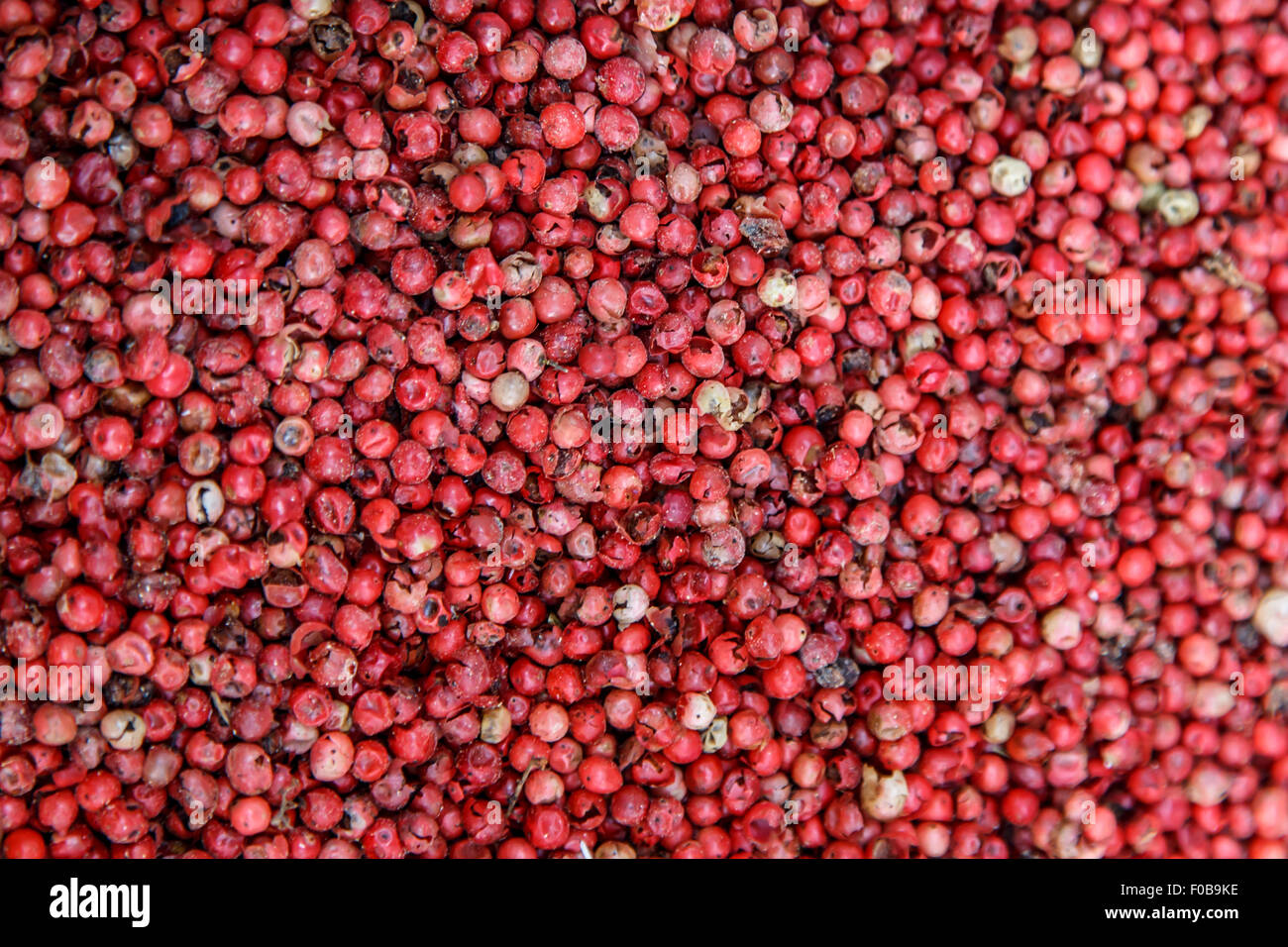 Macinata di pepe rosso Foto Stock