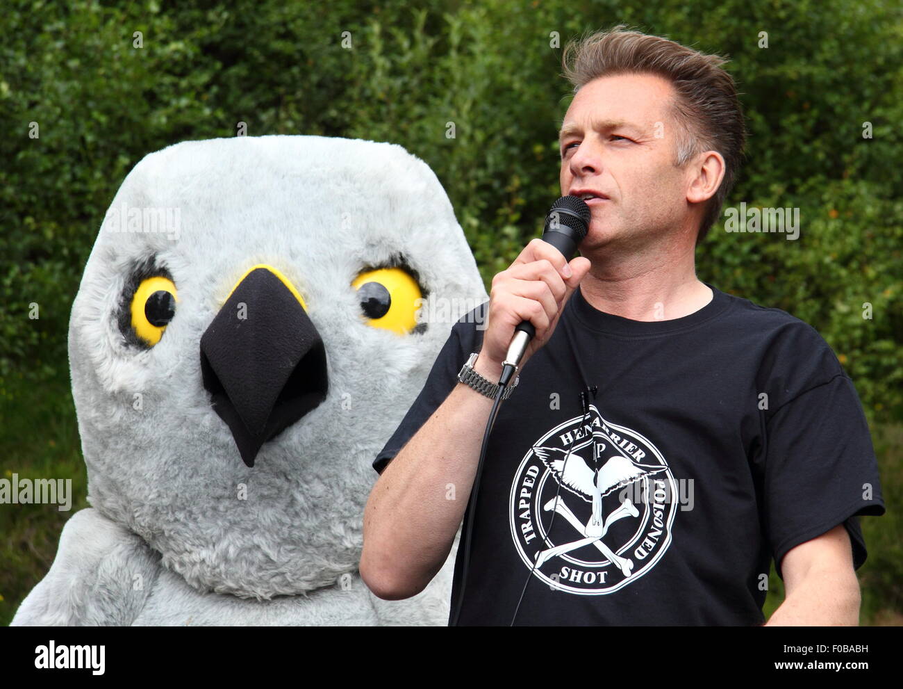 Emittente Chris Packham capi fino alla campagna contro la persecuzione illegale della gallina harriers a Albanella reale giorno, Goyt Valley, Peak District, REGNO UNITO Foto Stock