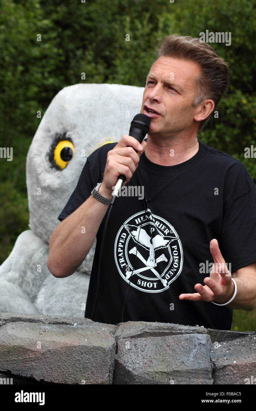 Emittente Chris Packham capi fino alla campagna contro la persecuzione illegale della gallina harriers a Albanella reale giorno, Goyt Valley, Peak District, REGNO UNITO Foto Stock