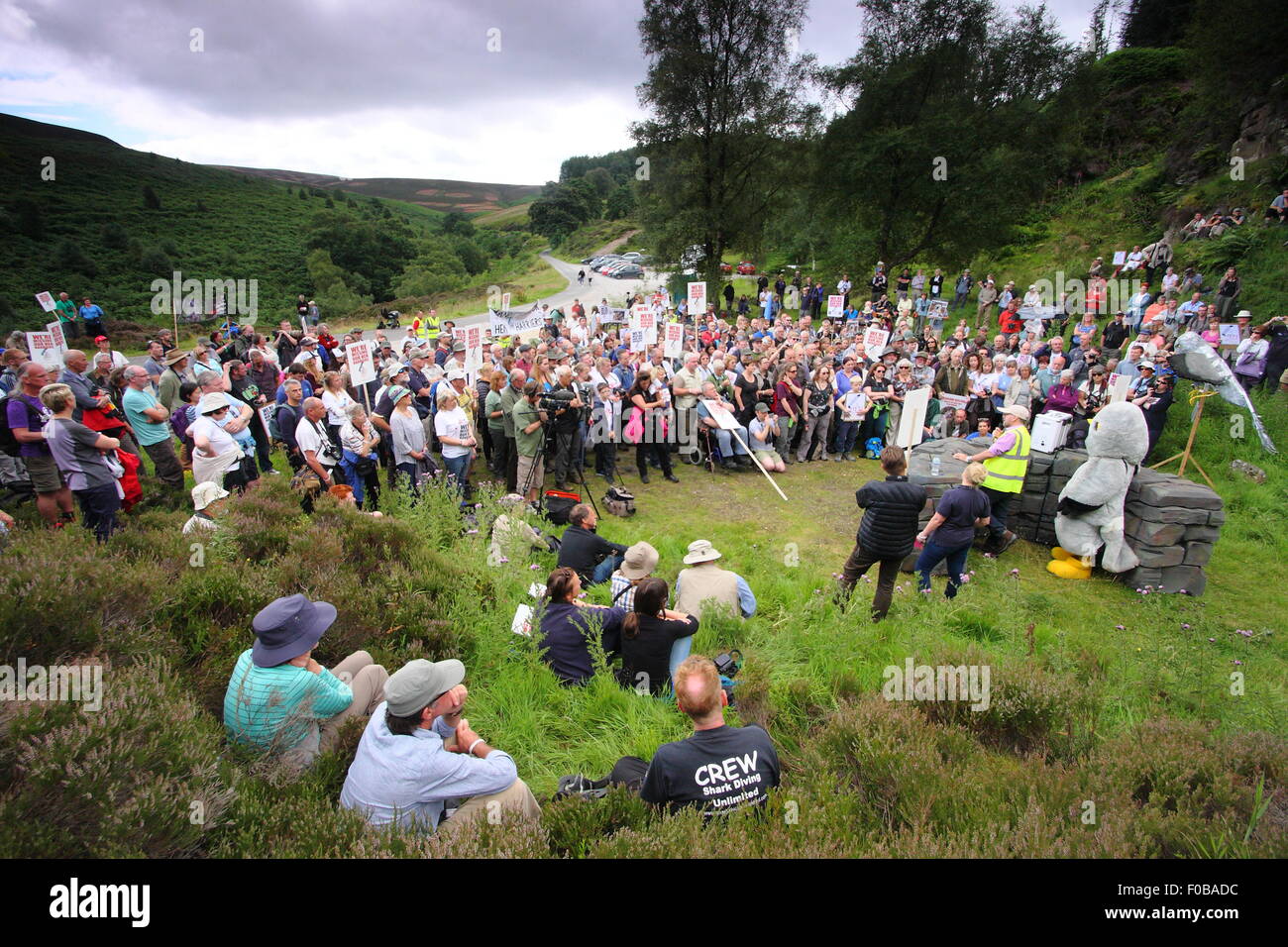 I dimostranti si riuniscono per la campagna contro la persecuzione illegale della gallina harriers a Albanella reale giorno,Peak District DERBYSHIRE REGNO UNITO Foto Stock