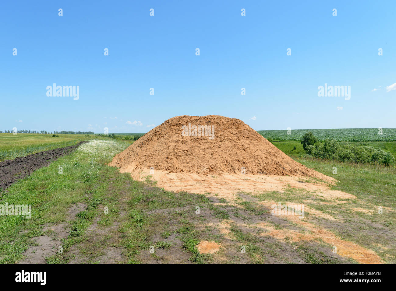 Grande pila di sabbia gialla nel mezzo del campo con spuntavano le rese dei raccolti sotto un azzurro cielo nuvoloso su un giorno di estate Foto Stock