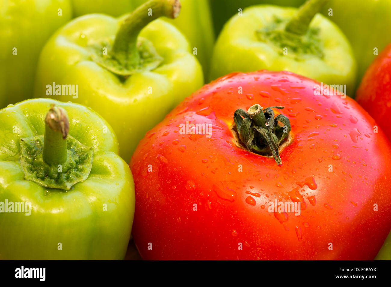 Un unico wet pomodoro e molti peperone verde con gocce d'acqua come fresche verdure organiche closeup vista macro composizione Foto Stock