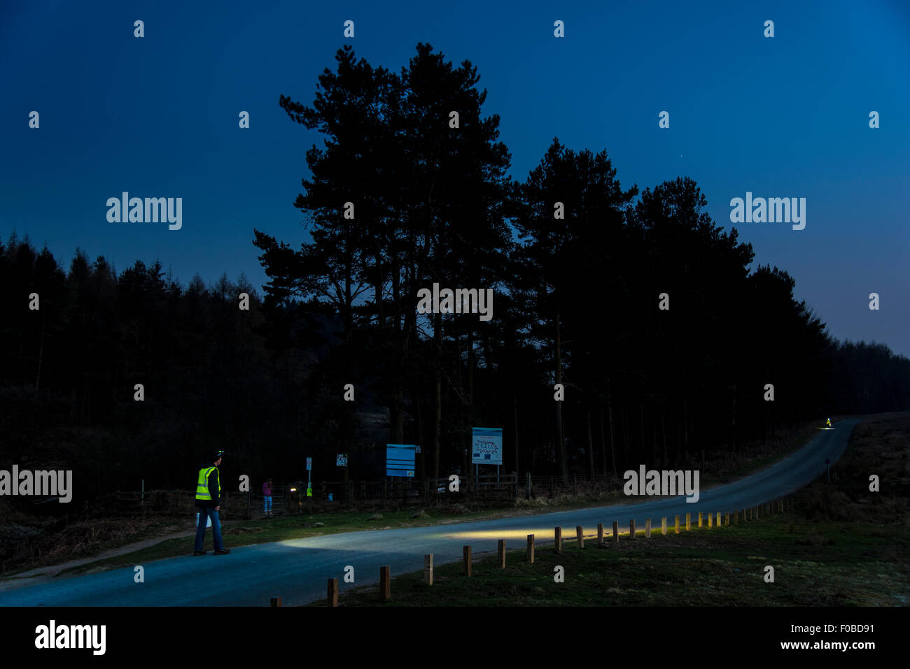 Quando scende la notte sul merluzzo Beck serbatoio, il rospo Osmotherley Patrol cominciare la scansione la strada per i rospi, rane e tritoni. Osmother Foto Stock