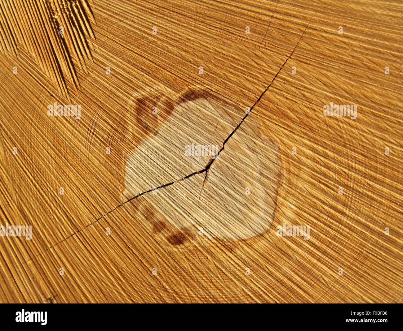 La fetta di legname,naturale sfondo di legno Foto Stock