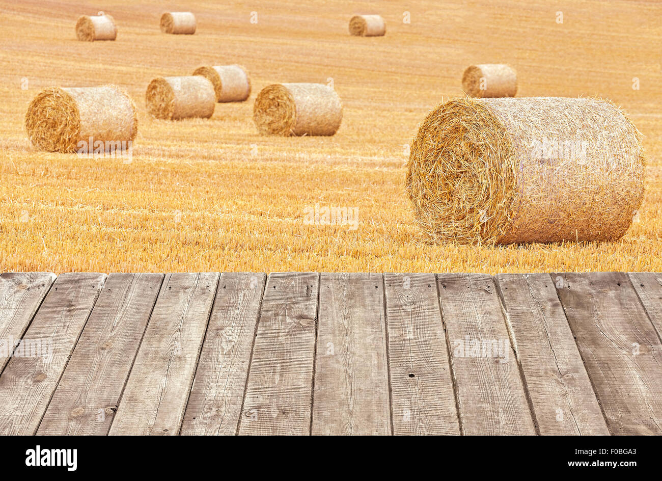 Balle di fieno raccolto sul campo con assi di legno. Foto Stock