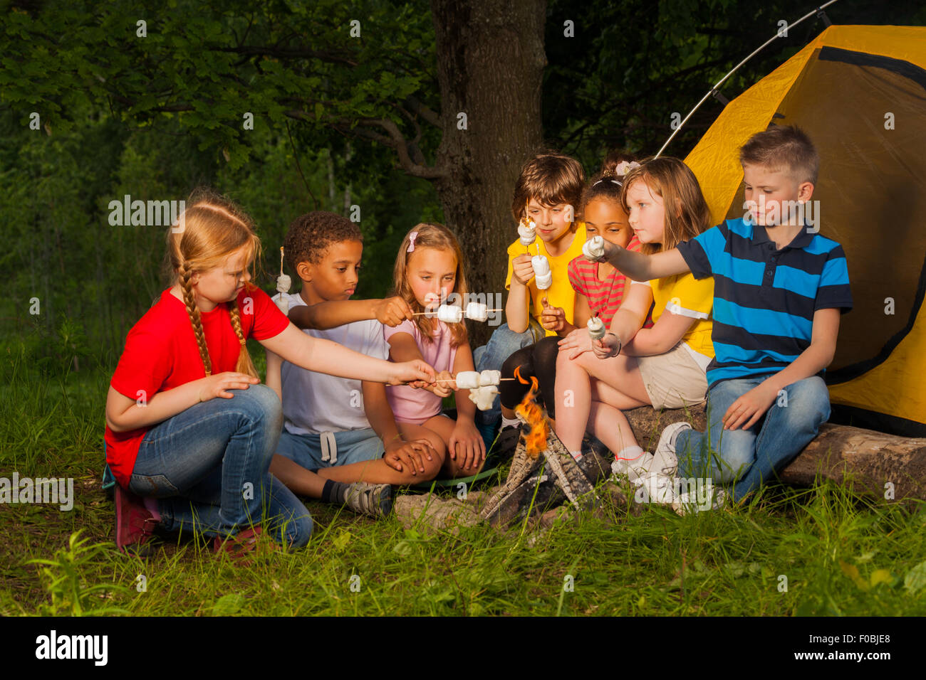 Diversi bambini con marshmallow trattare vicino al falò Foto Stock
