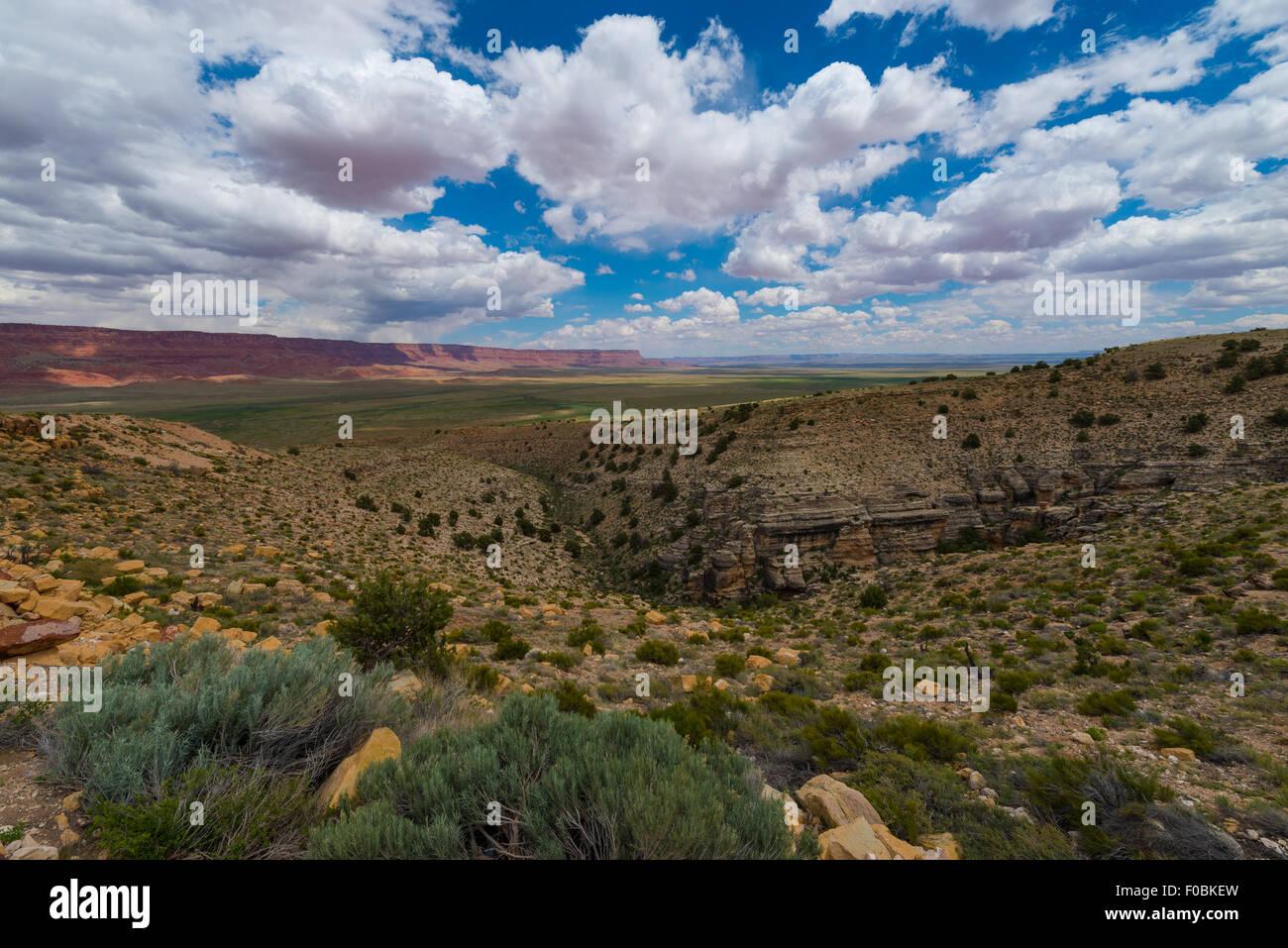 Vermilion Cliffs Autostrada si affacciano sul paesaggio dell'Arizona Foto Stock